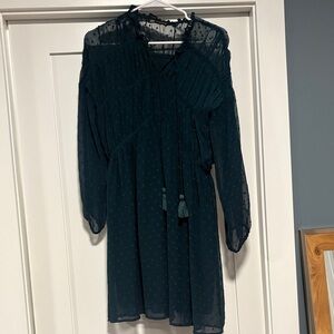 Zara Textured Long-Sleeve Teal Dress